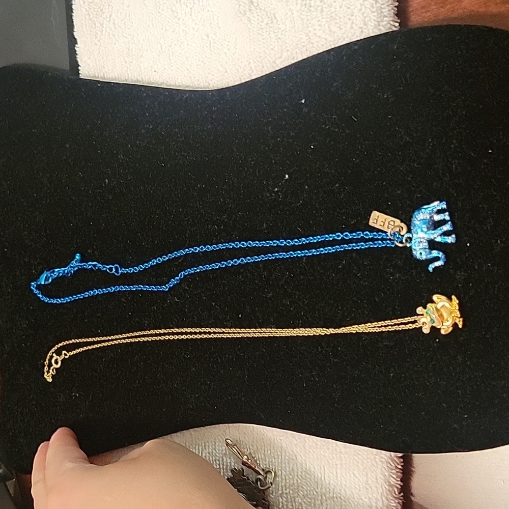 Two necklace